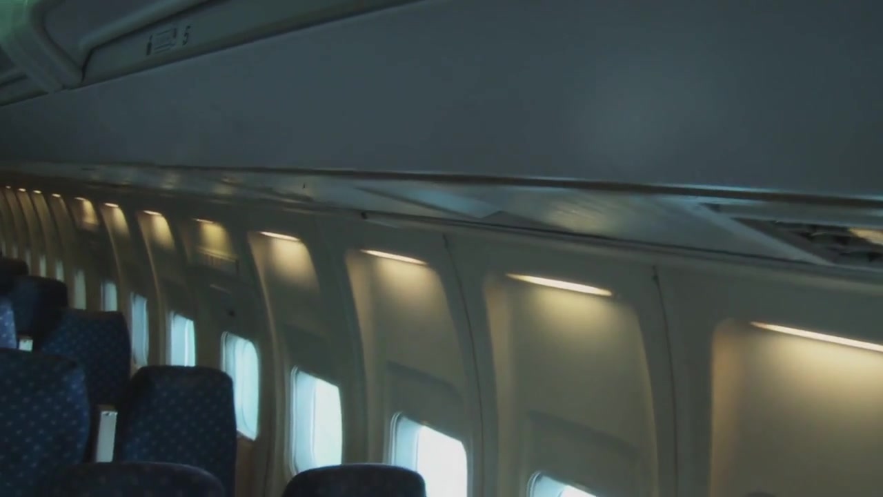 Linsey Mckenzie And Puma Swede Go Lesbian During A Cross Atlantic Flight