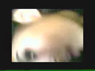 This dude is now shure that Asian bitches are great at sex