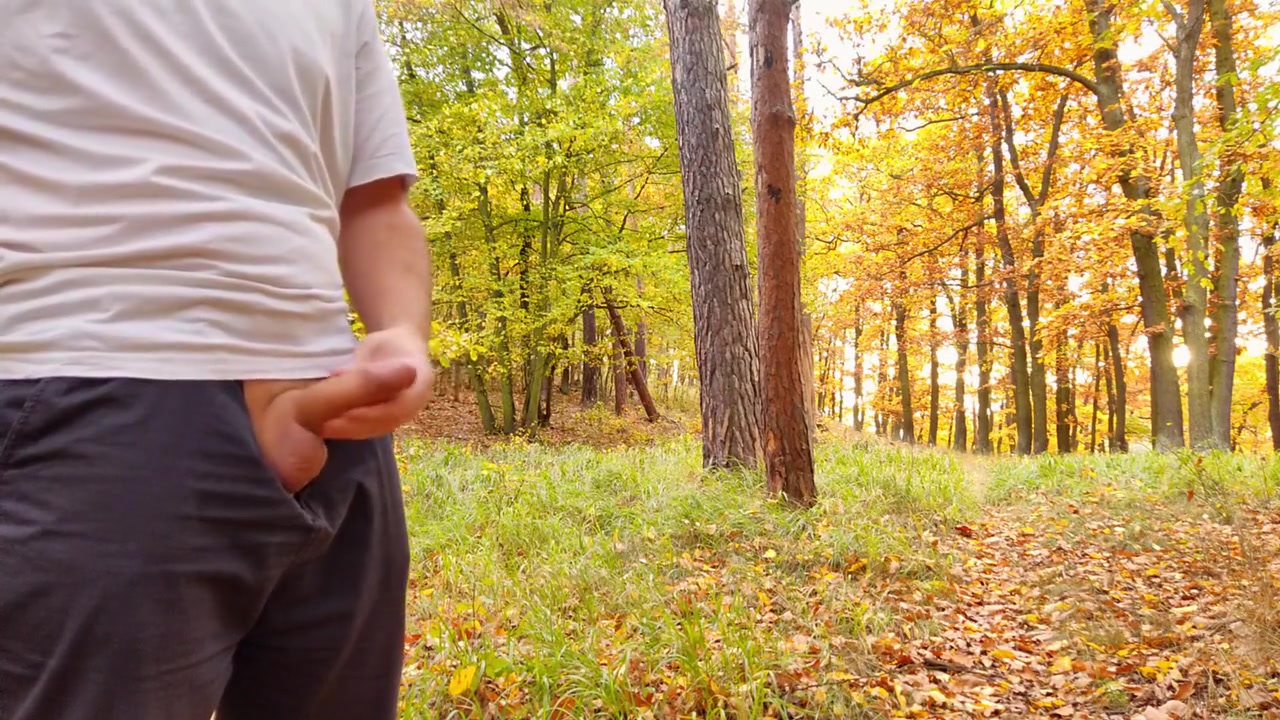 Nice Cock Cumming In Forest In Fine Rain