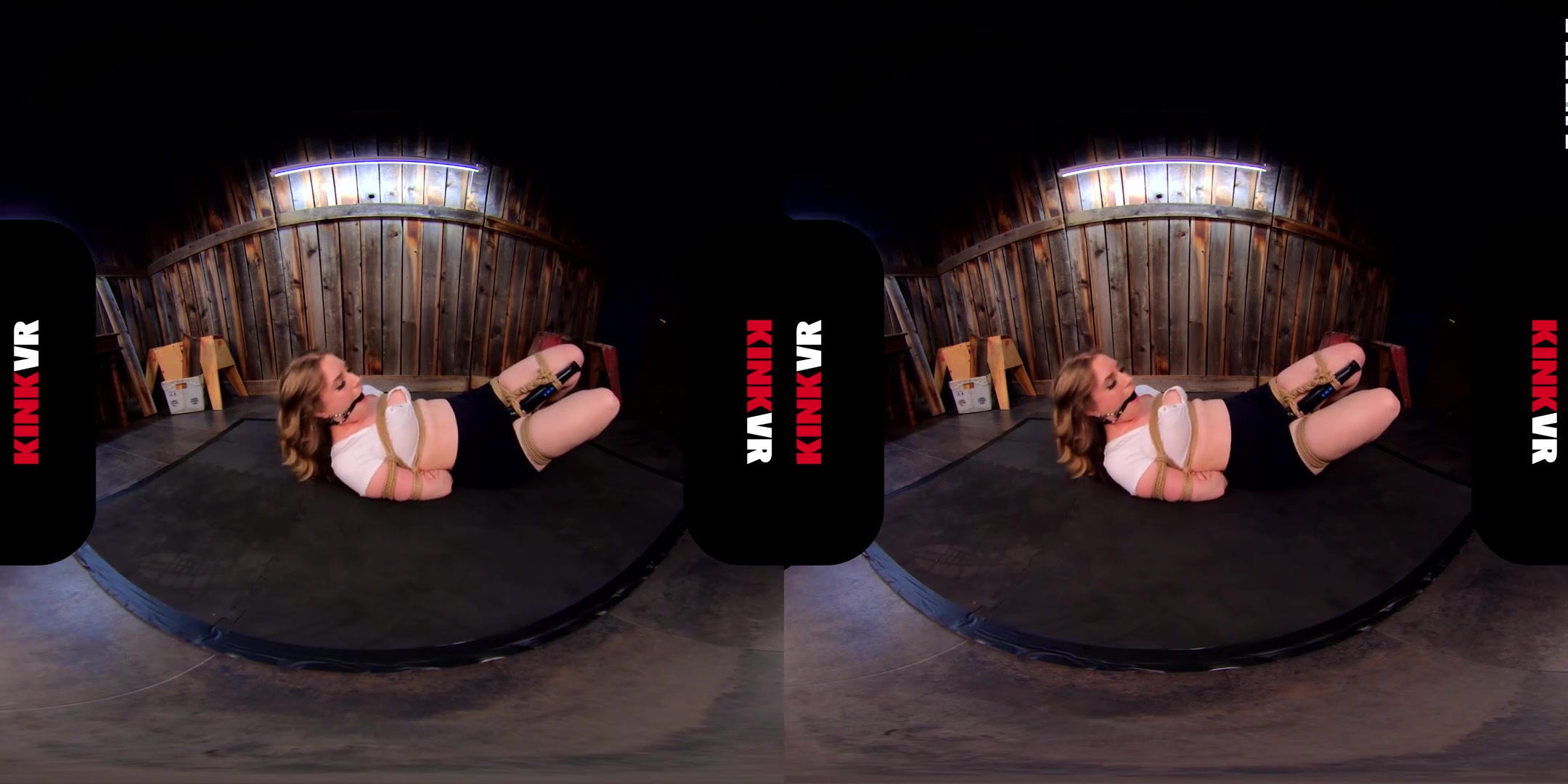 Dresden 333 in Rough Escape - KinkVR