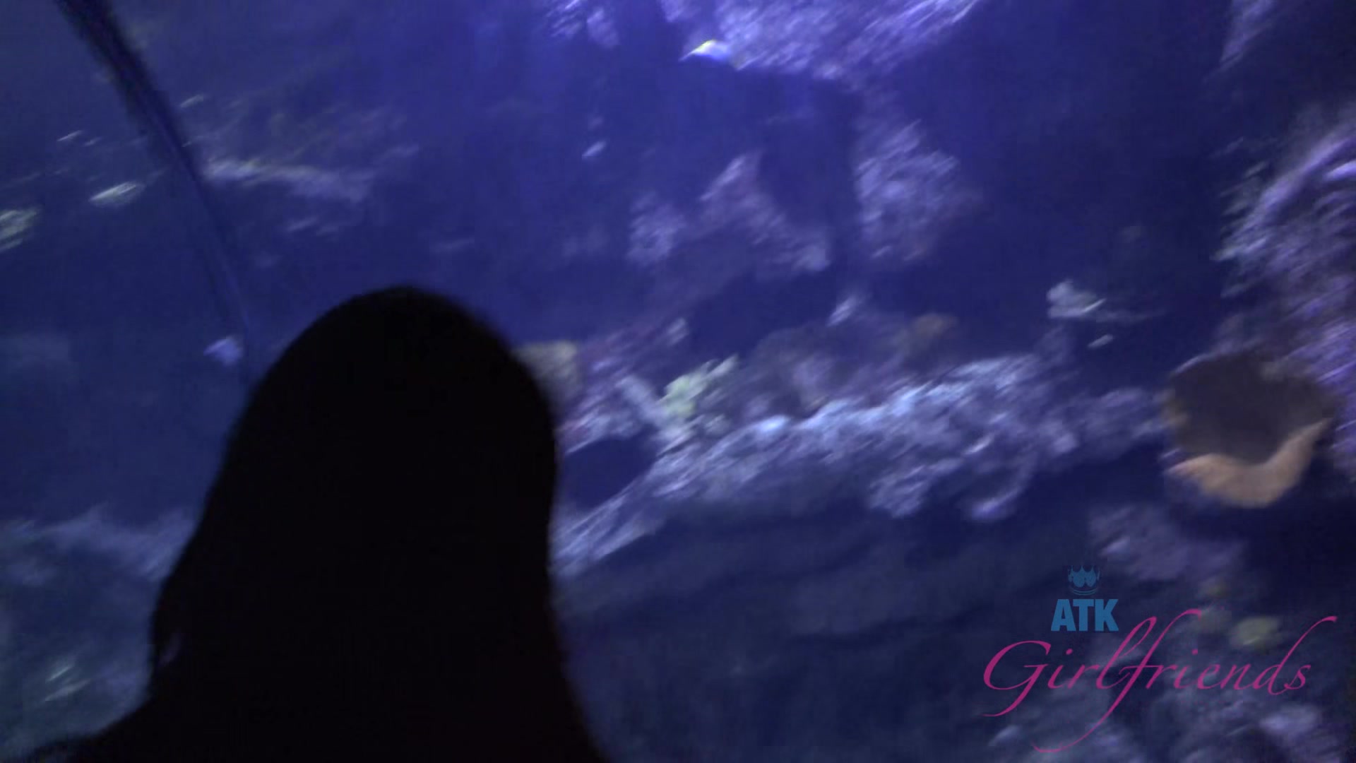 Virtual Vacation In Las Vegas With Jessica Rex 1/3
