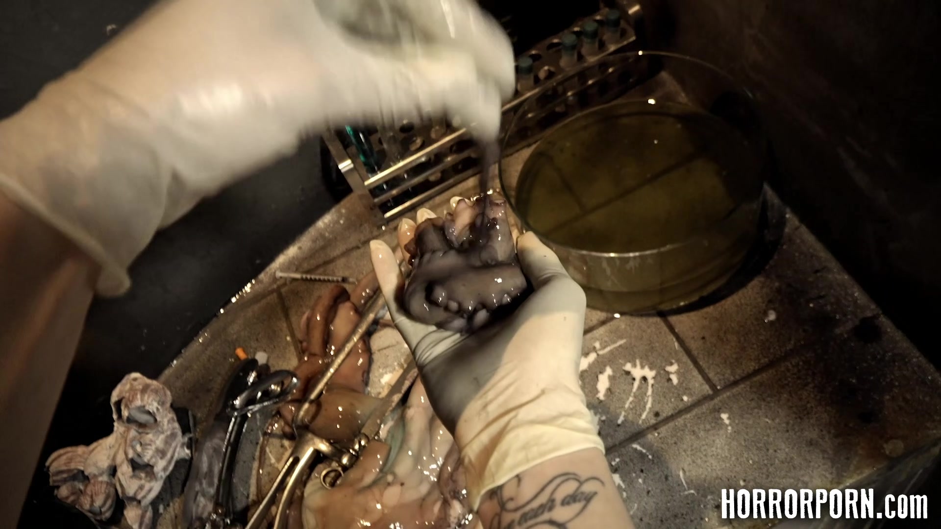 HORRORPORN The beautiful scientist fucked by a monster