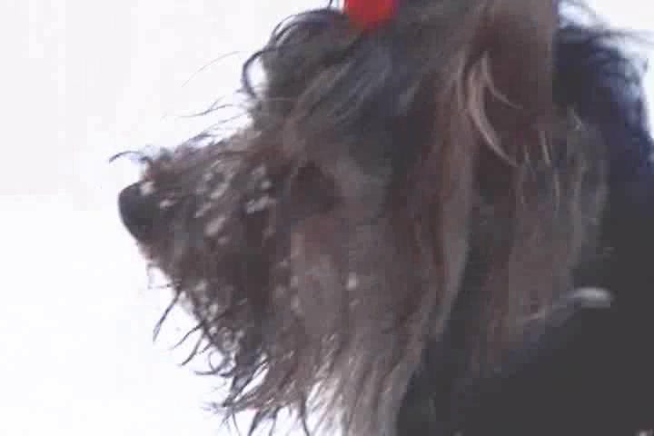 Video from Meta-Art: Masha & Sasha F - Foxes - by Paromov