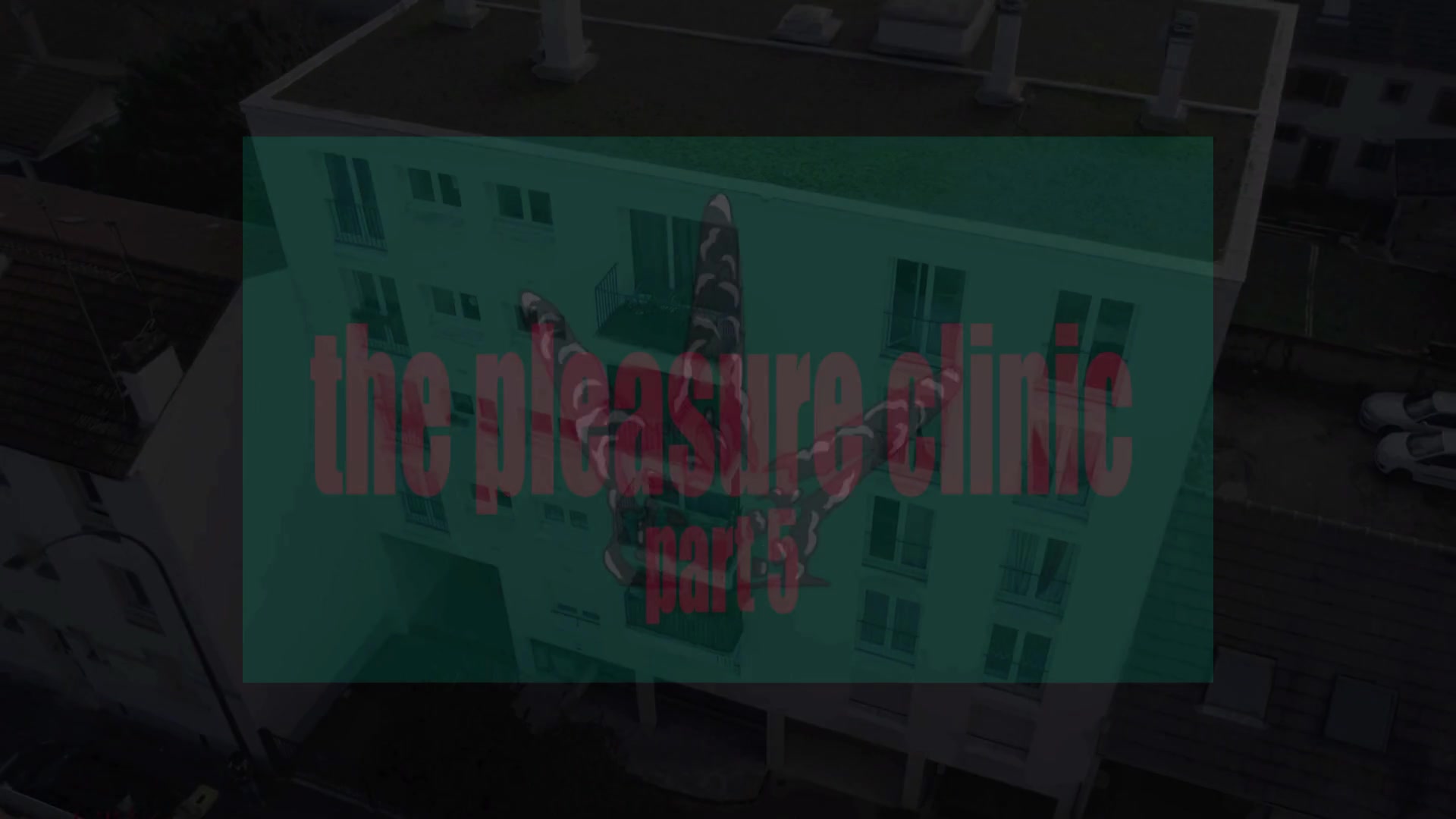 The Pregnant Patient - Sex Movies Featuring Africansexglobe