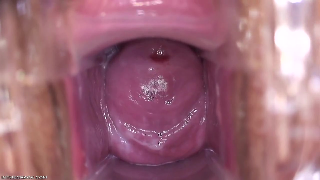 Inside Brandys Pussy
