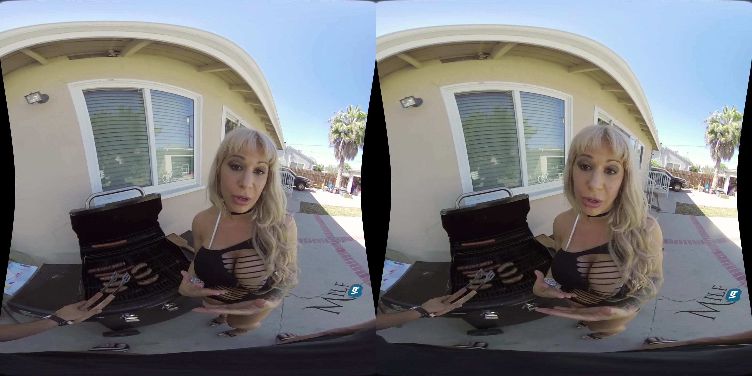 MilfVR - The BBQ