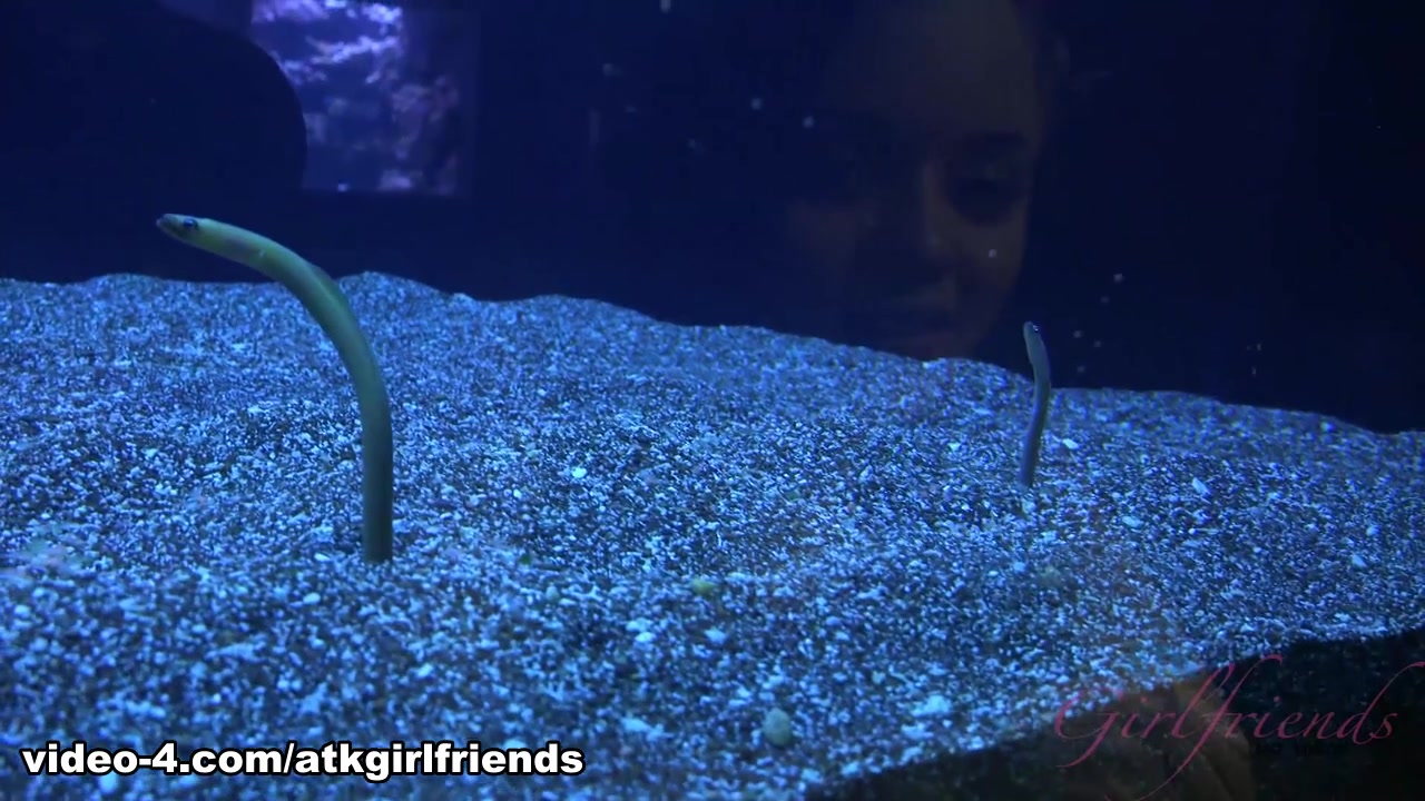 Holly Hendrix in Virtual Vacation Movie - AtkGirlfriends