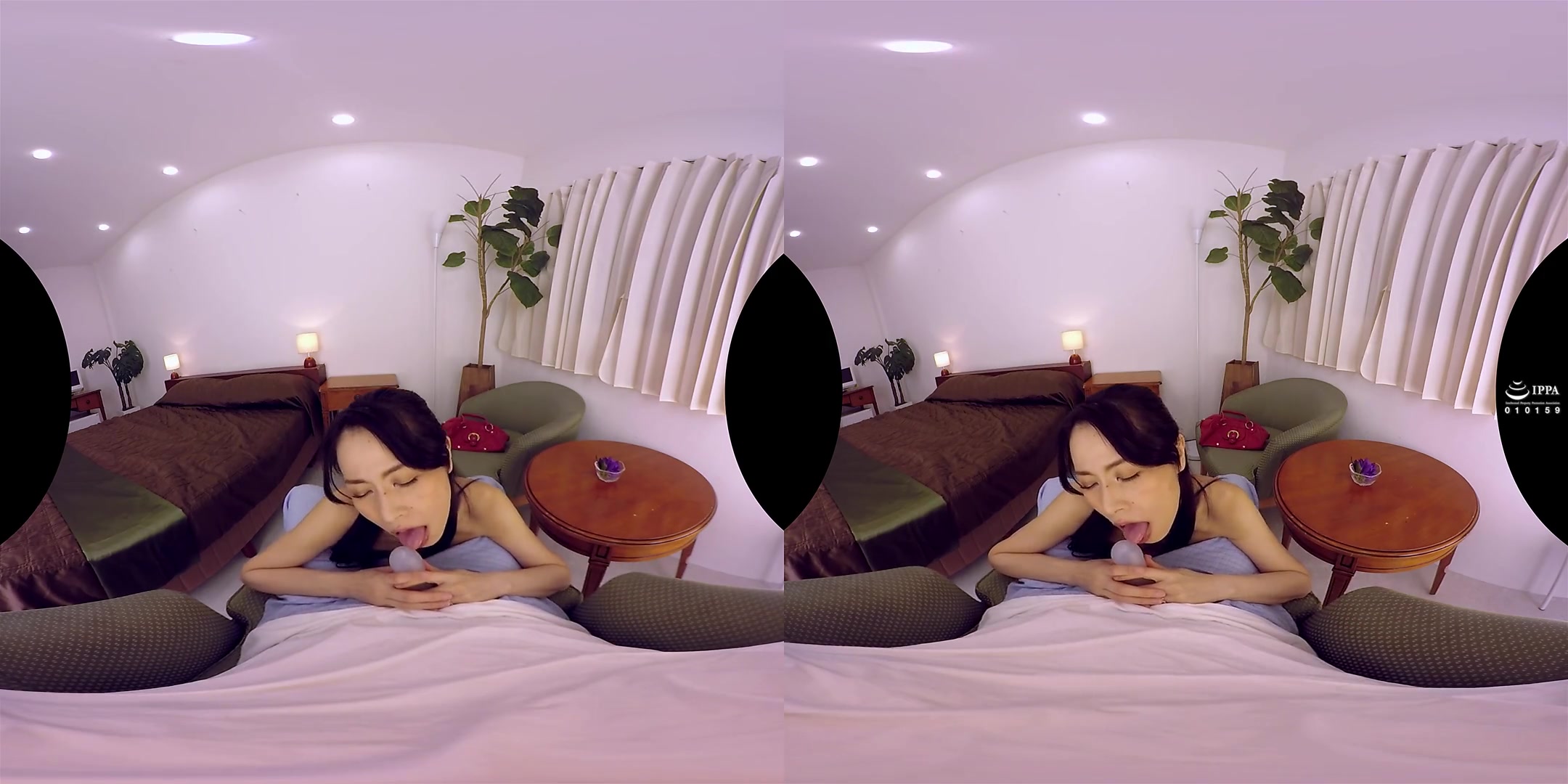 Digitally Remastered! VR Masterpiece Collection; Sensual Japanese MILF Compilation