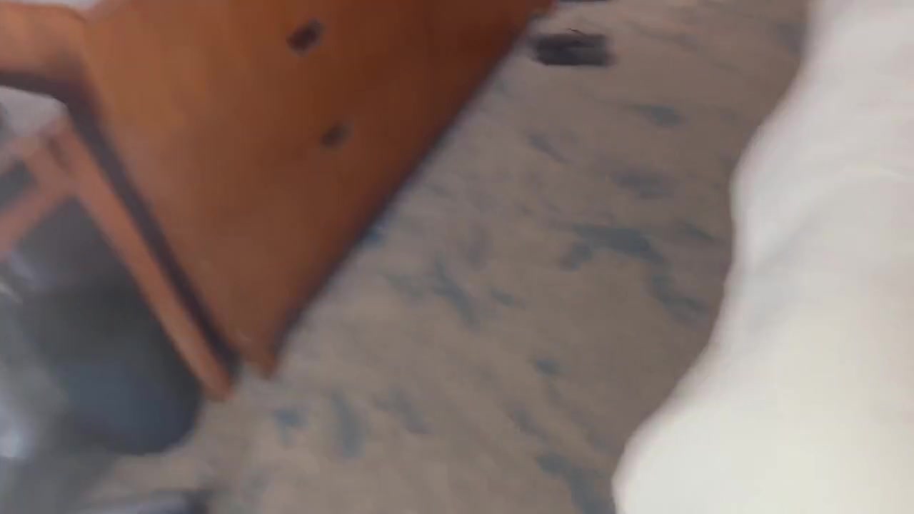 Stephanie Love In Busty Stripper Fucks Her First Fan & Takes Huge Load