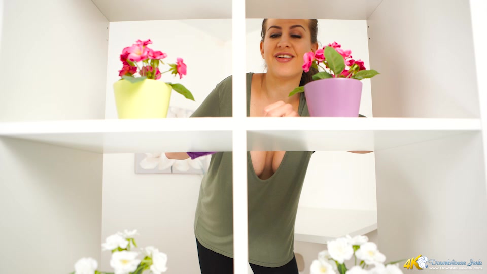 Top Shelf Titties - DownblouseJerk