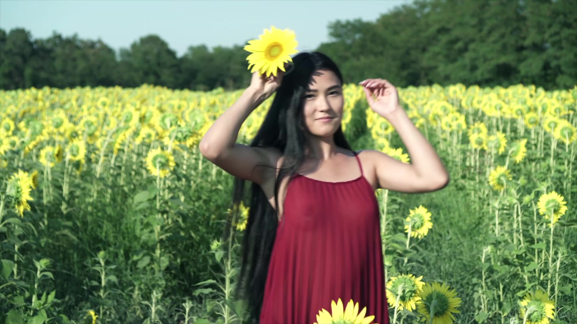 Sunflower - Kimiko - Met-Art