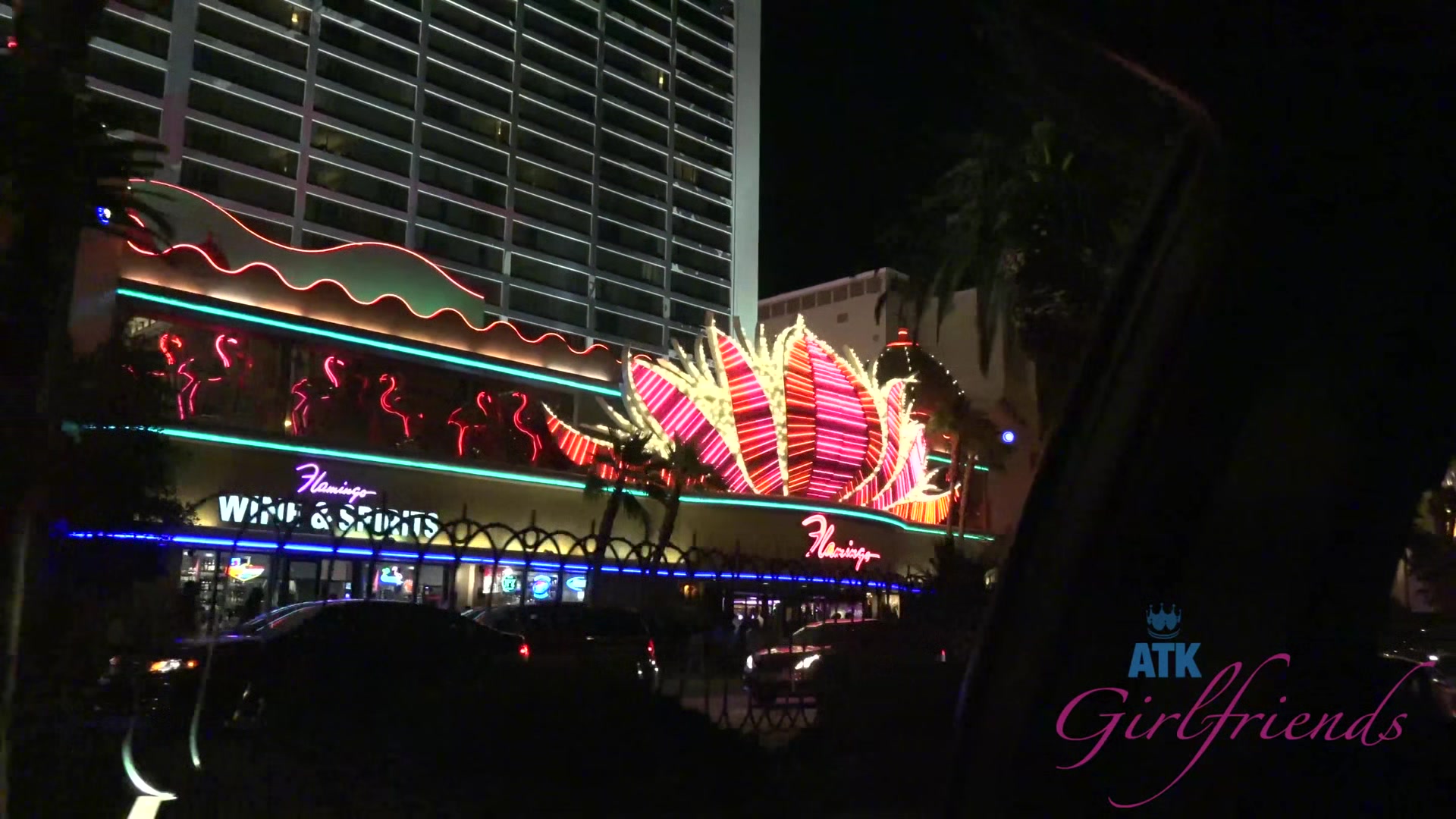 Virtual Vacation With Taylor Whyte Part 1
