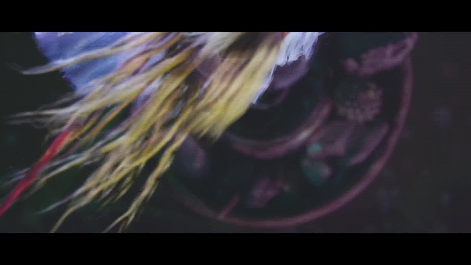 Shine White - 2019
