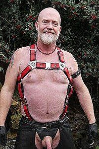Steve Ellis