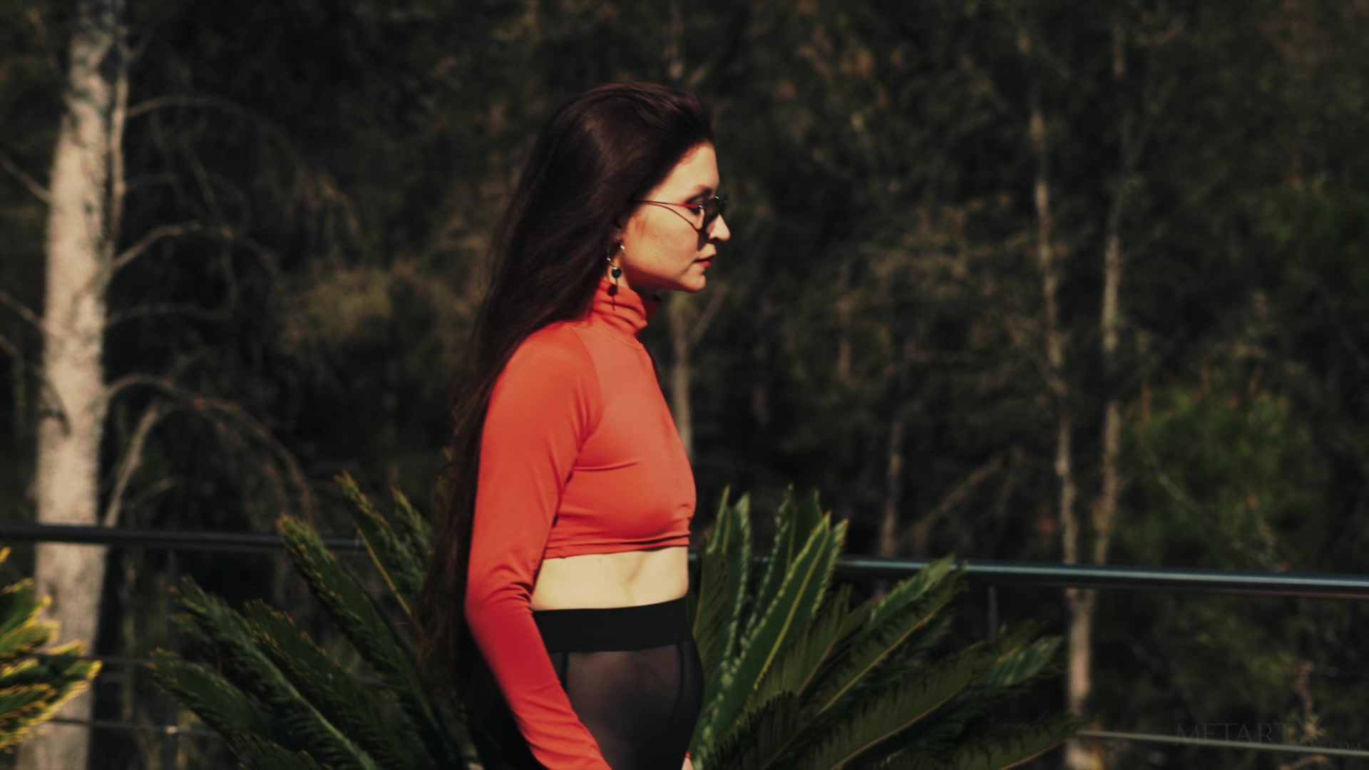 Sunglass Climax 2 - Berenice