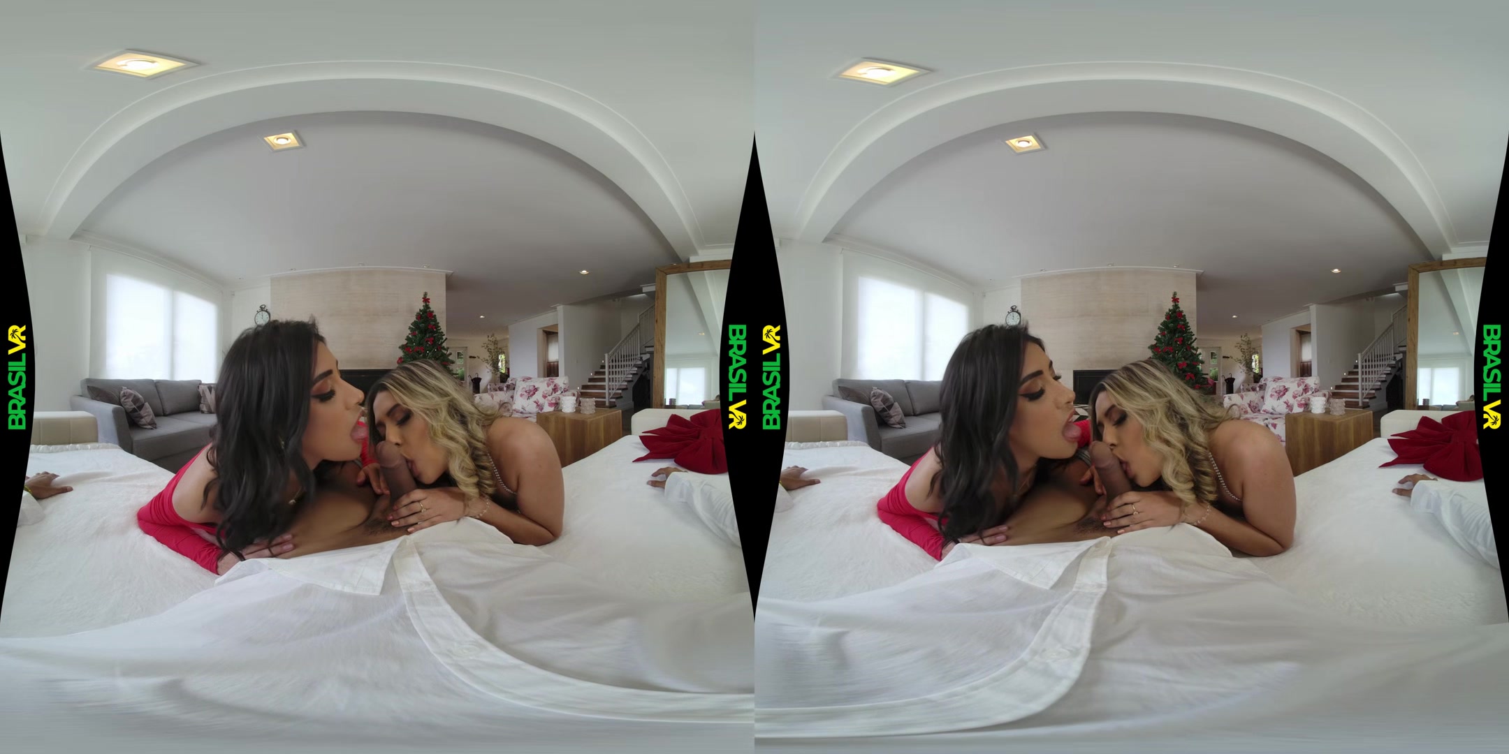 The Gift Of The Vagi - BrasilVR
