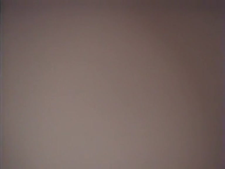 Hungry pussy slits swallow the cock