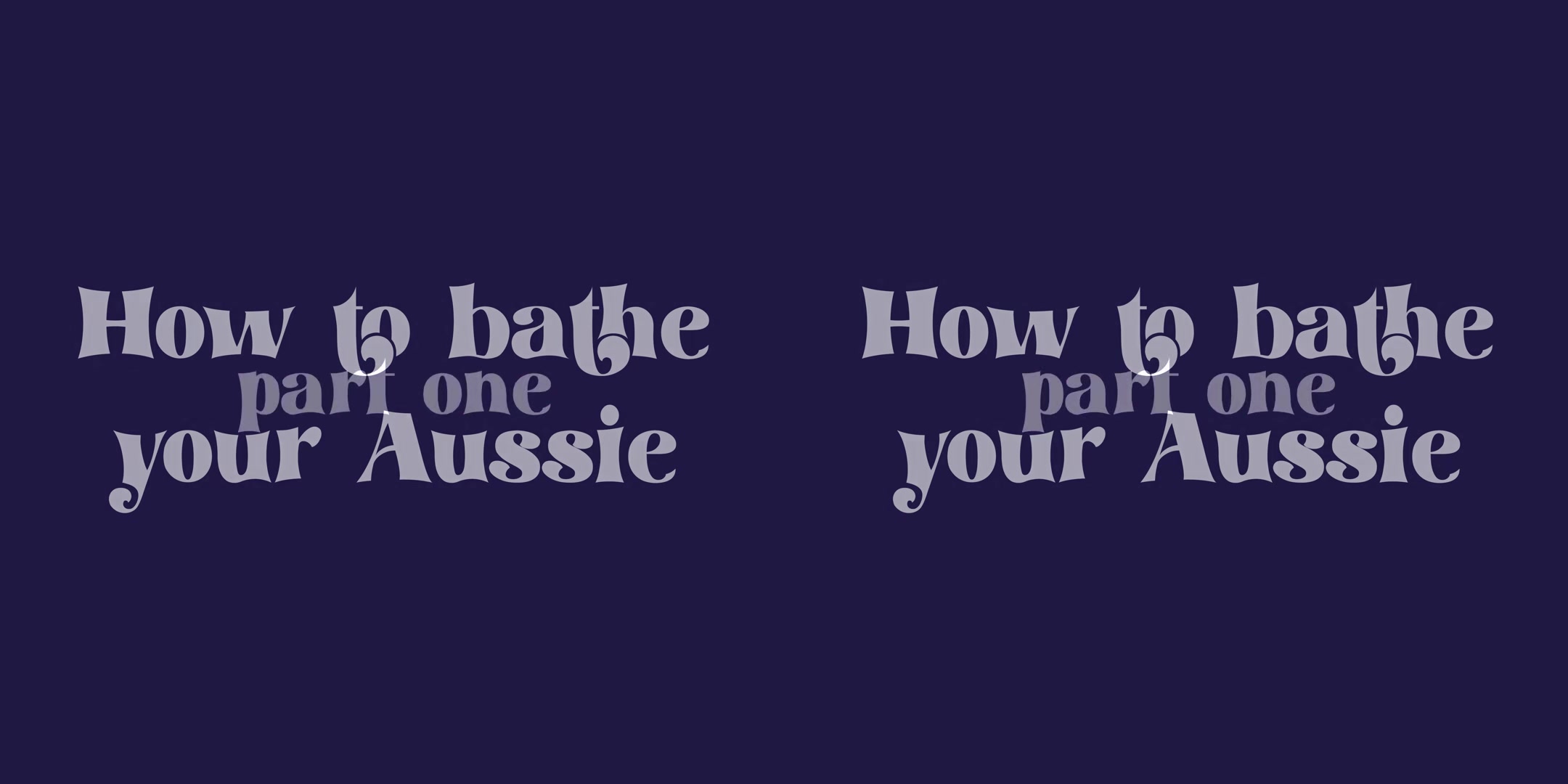 How To Bathe Your Aussie III - perVRt