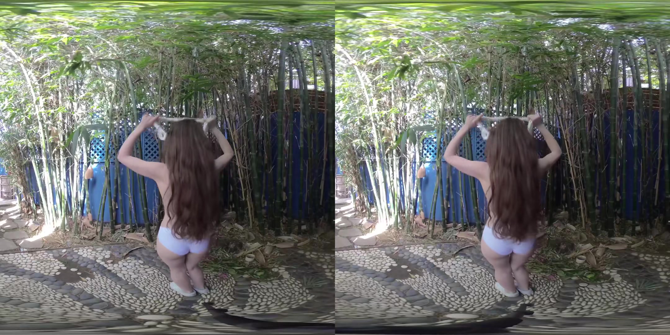Bamboo - EmilyBloom