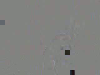 Shower 13