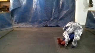 scary horny zentai spider vs spiderman