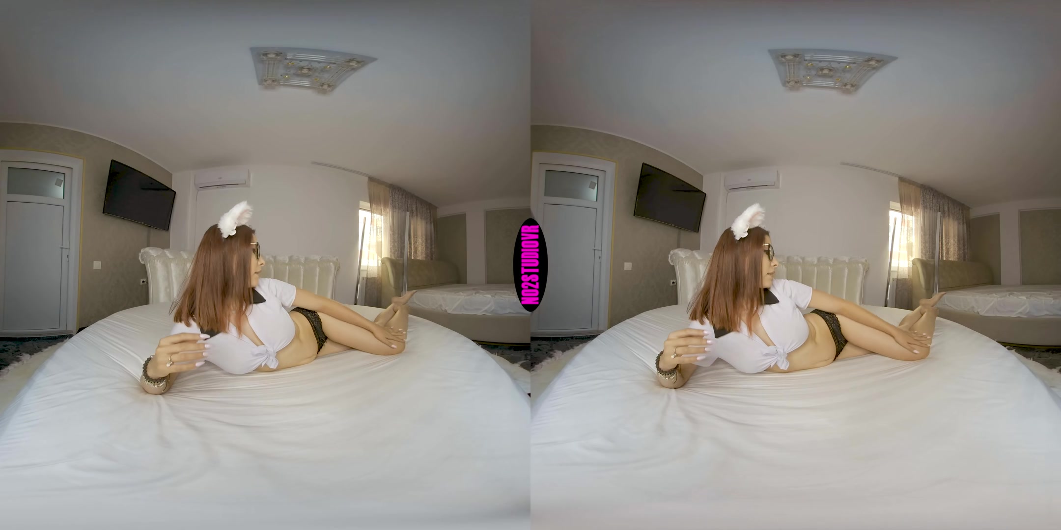 Playful Solo Bunny - No2StudioVR