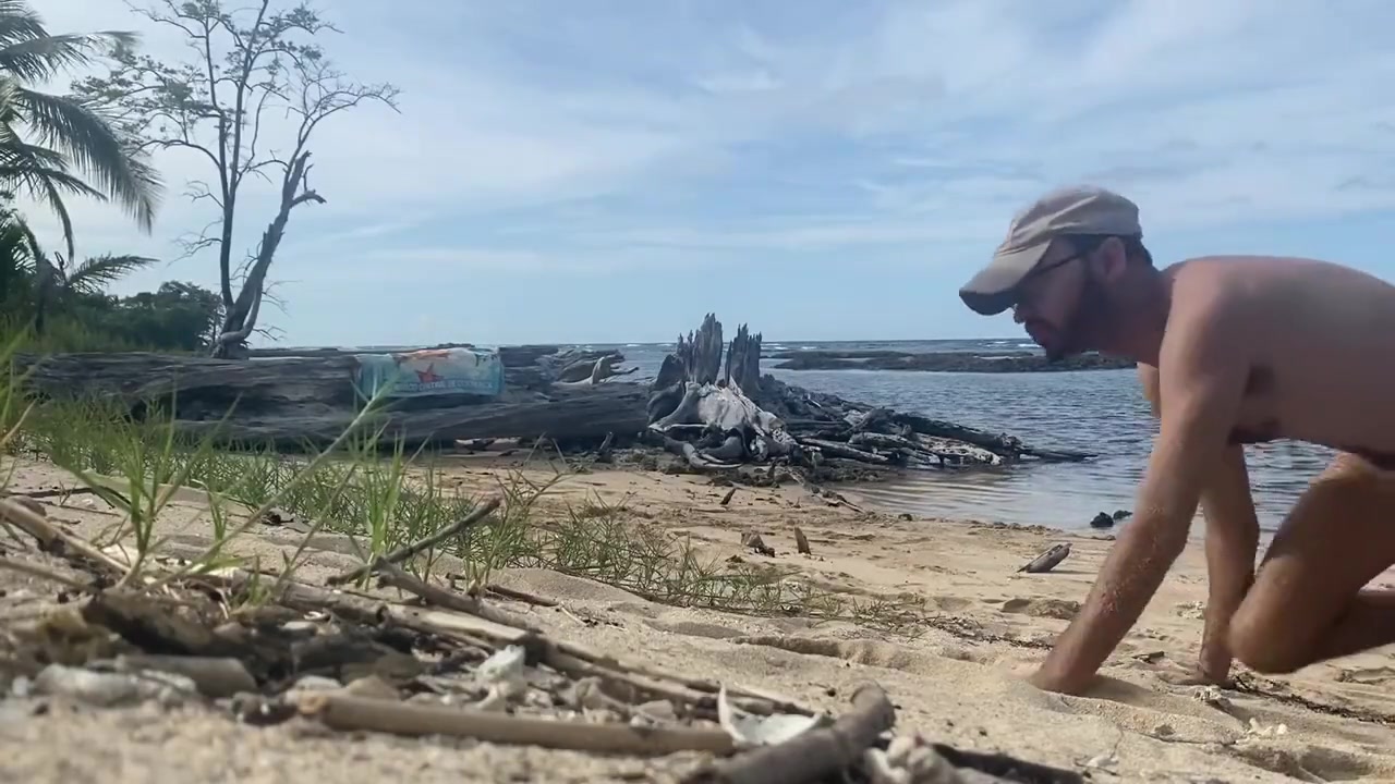 Pet Play At The Beach
