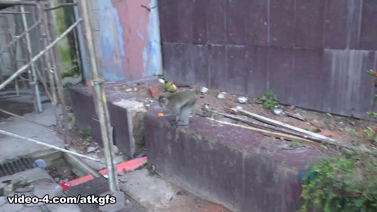 Moka Mora in Moka Enjoys A Day With The Monkeys - ATKGirlfriends