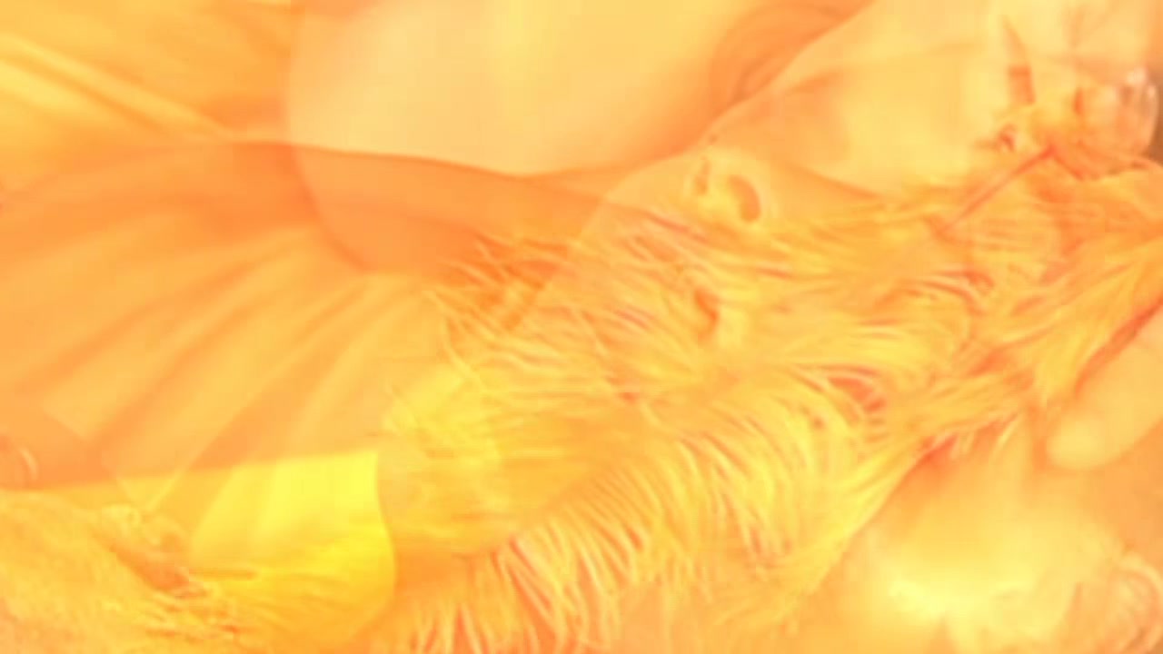 Indian Sex Massage - Free Massage Sex Videos