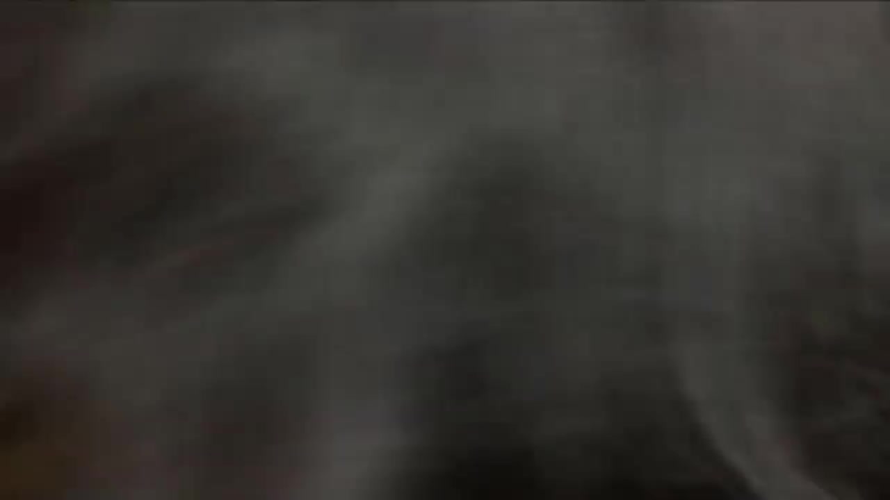 Olivia spreads both holes for a black cock