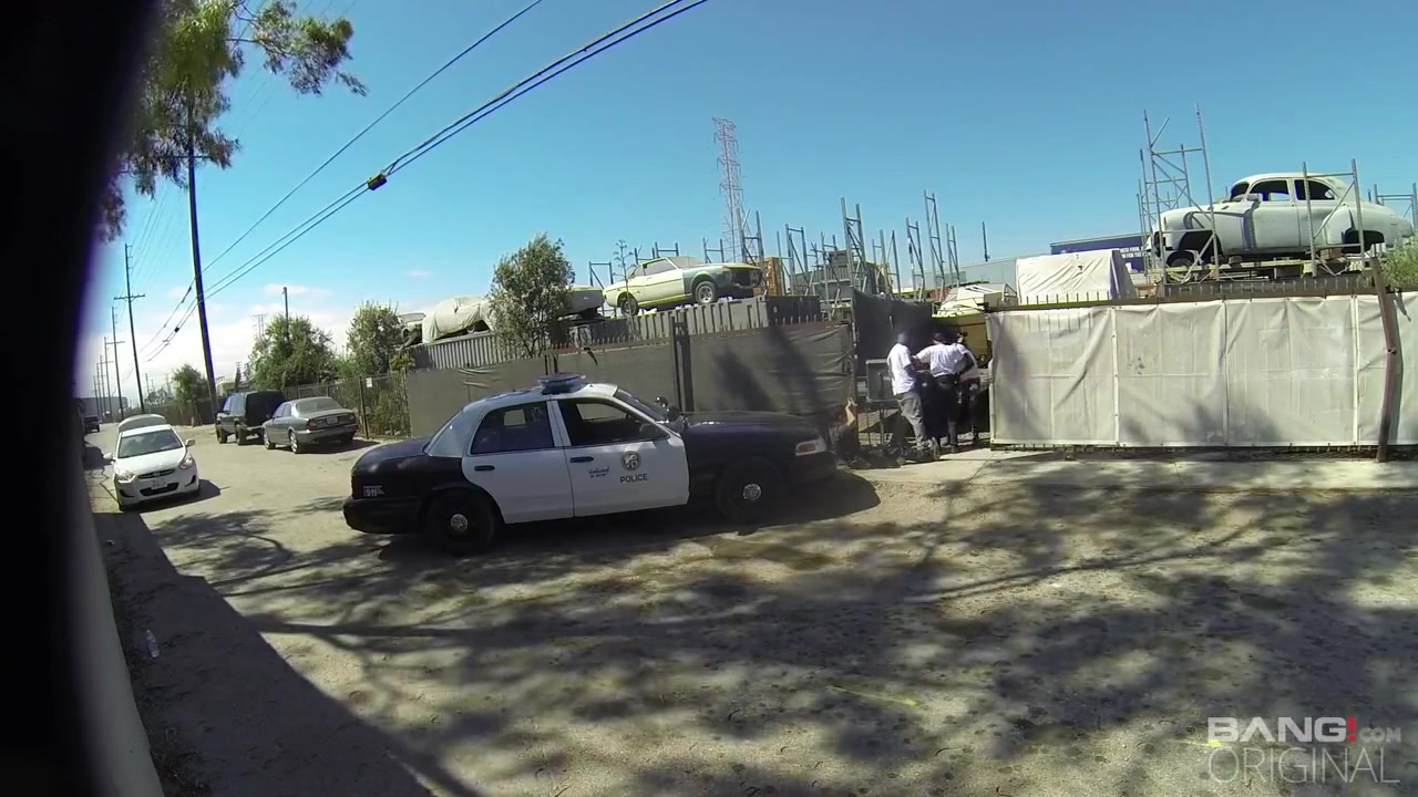 Omg! American Policeman Humiliates Front Black Criminals