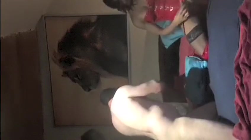 Tgirl Top With Big Curved Cock Wrecking Guys Asses