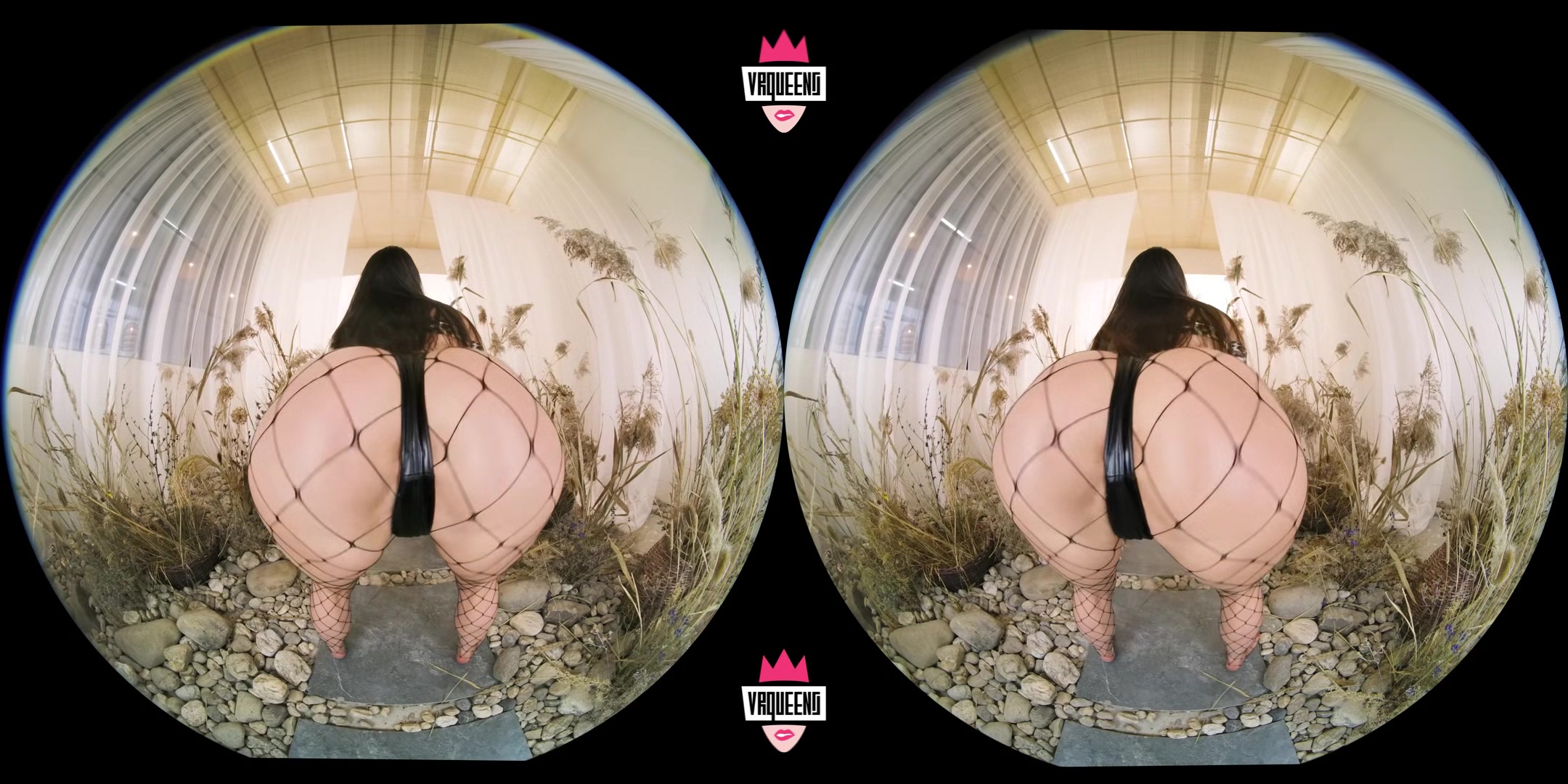 Ass & Face Compilation - Vr Queens