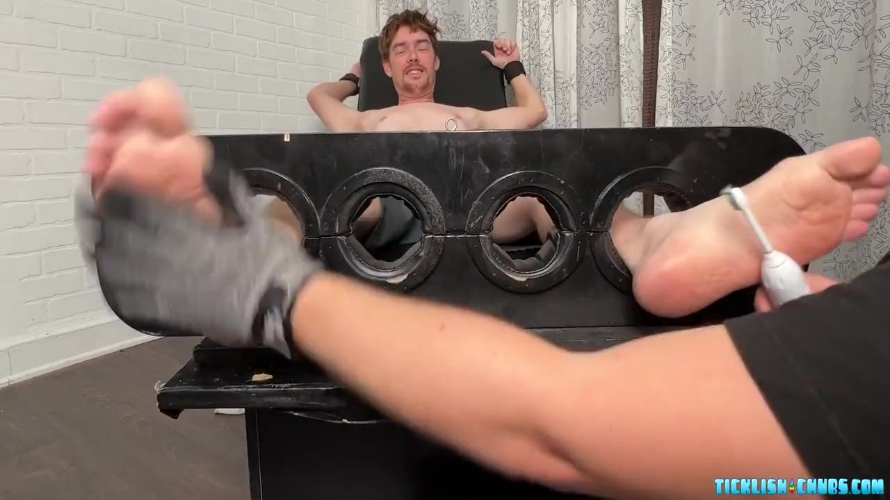 Pup Hammy In Matt Is Delighted To Make Giggle Hard