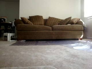 Ebony couple sex footage having fun on the couch