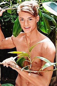 Matthieu Pique