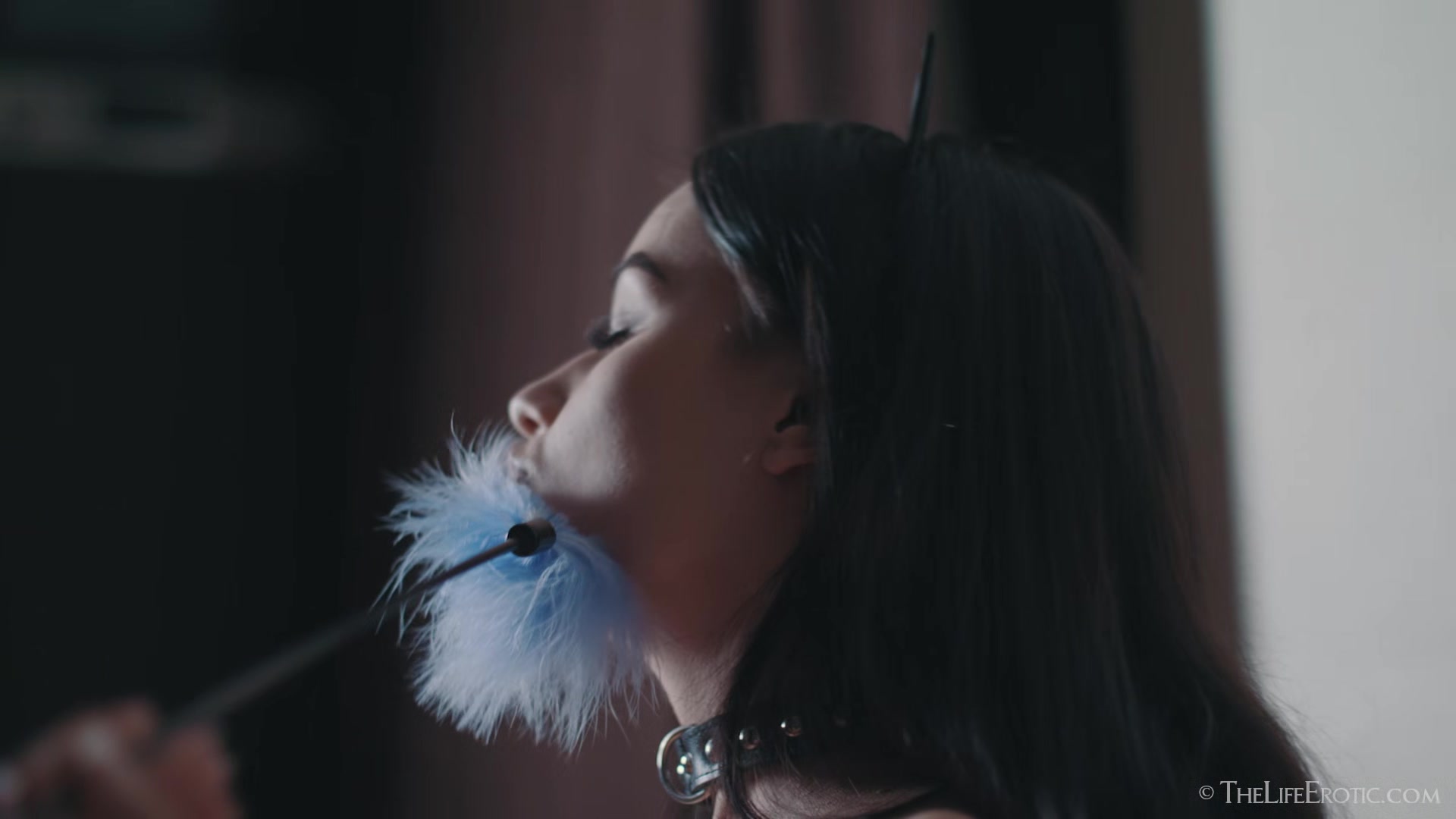 Meow 2 - Elouisa - TheLifeErotic