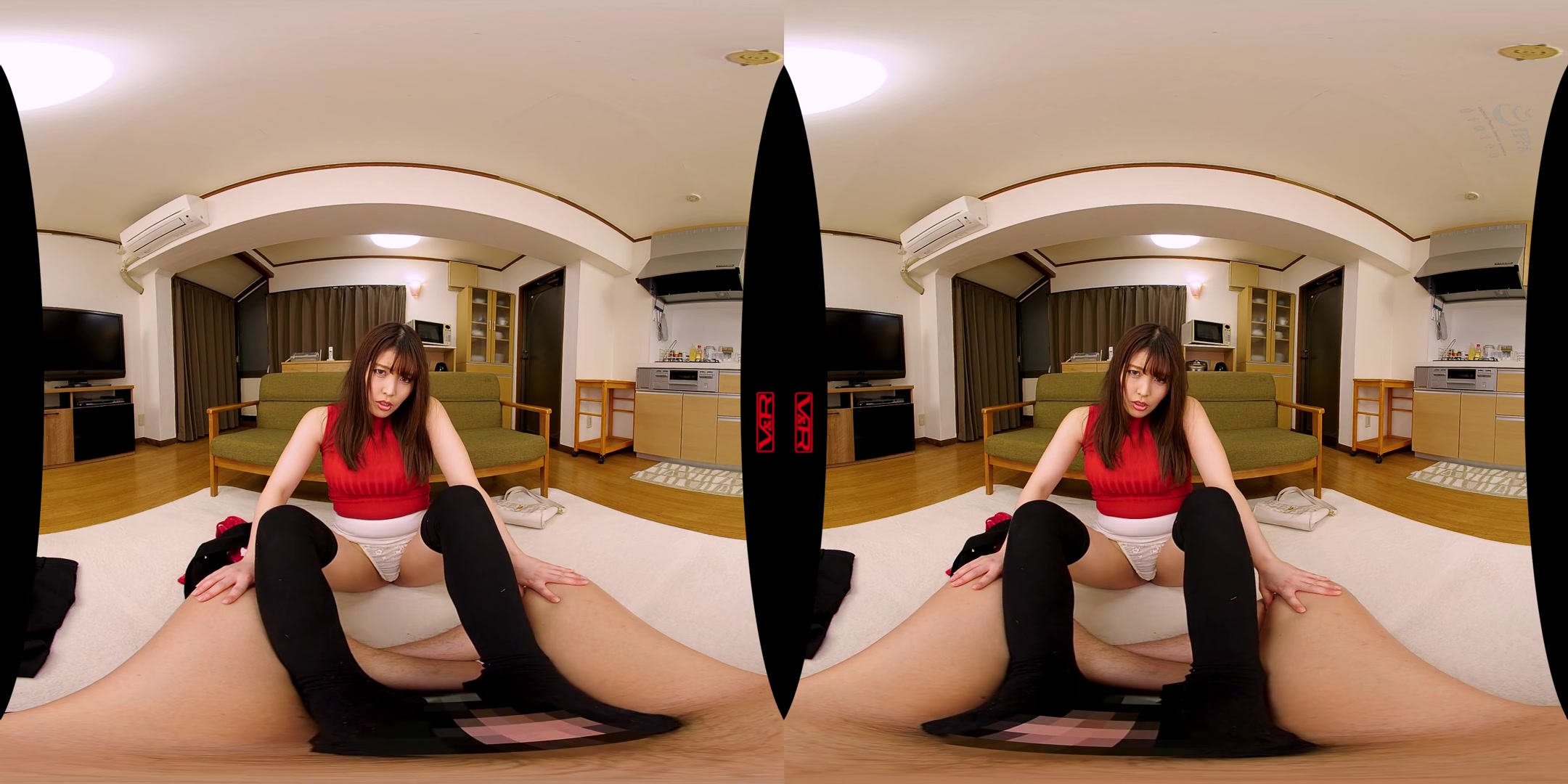 Akari Niimura - Your Big Butt S*ster-in-Law Seduces You into Creampie Sex - 3DV&R