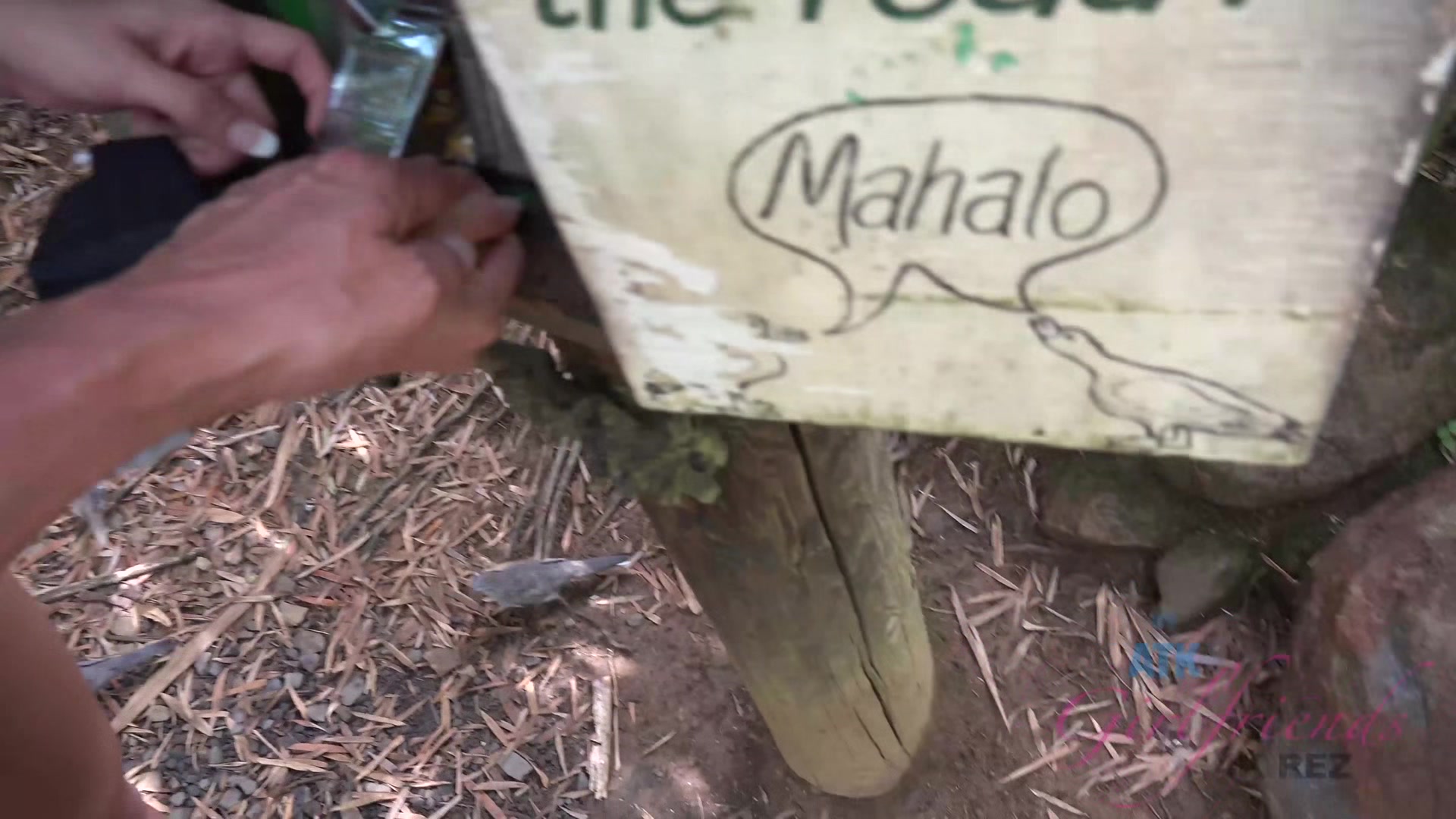 Virtual Vacation In Hawaii With Moka Mora Part 5