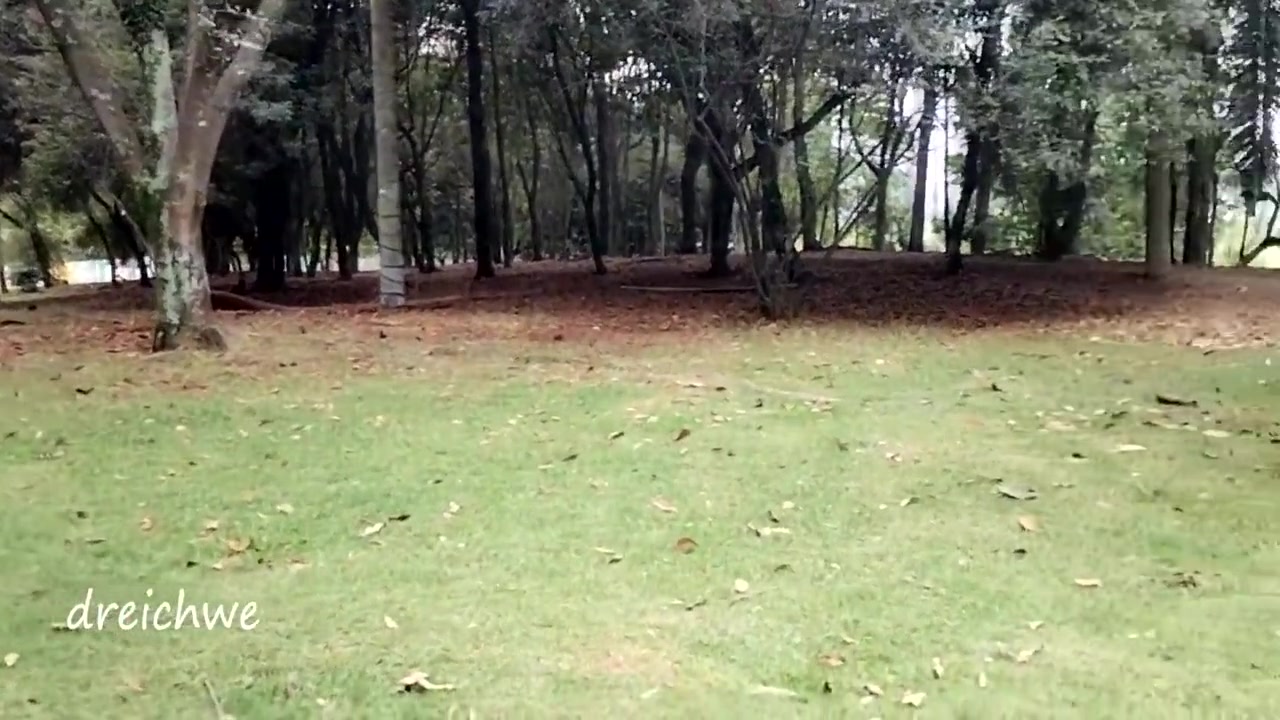 Entrenado Como Puta En El Parque Con Morbo En Espanol 23 Min