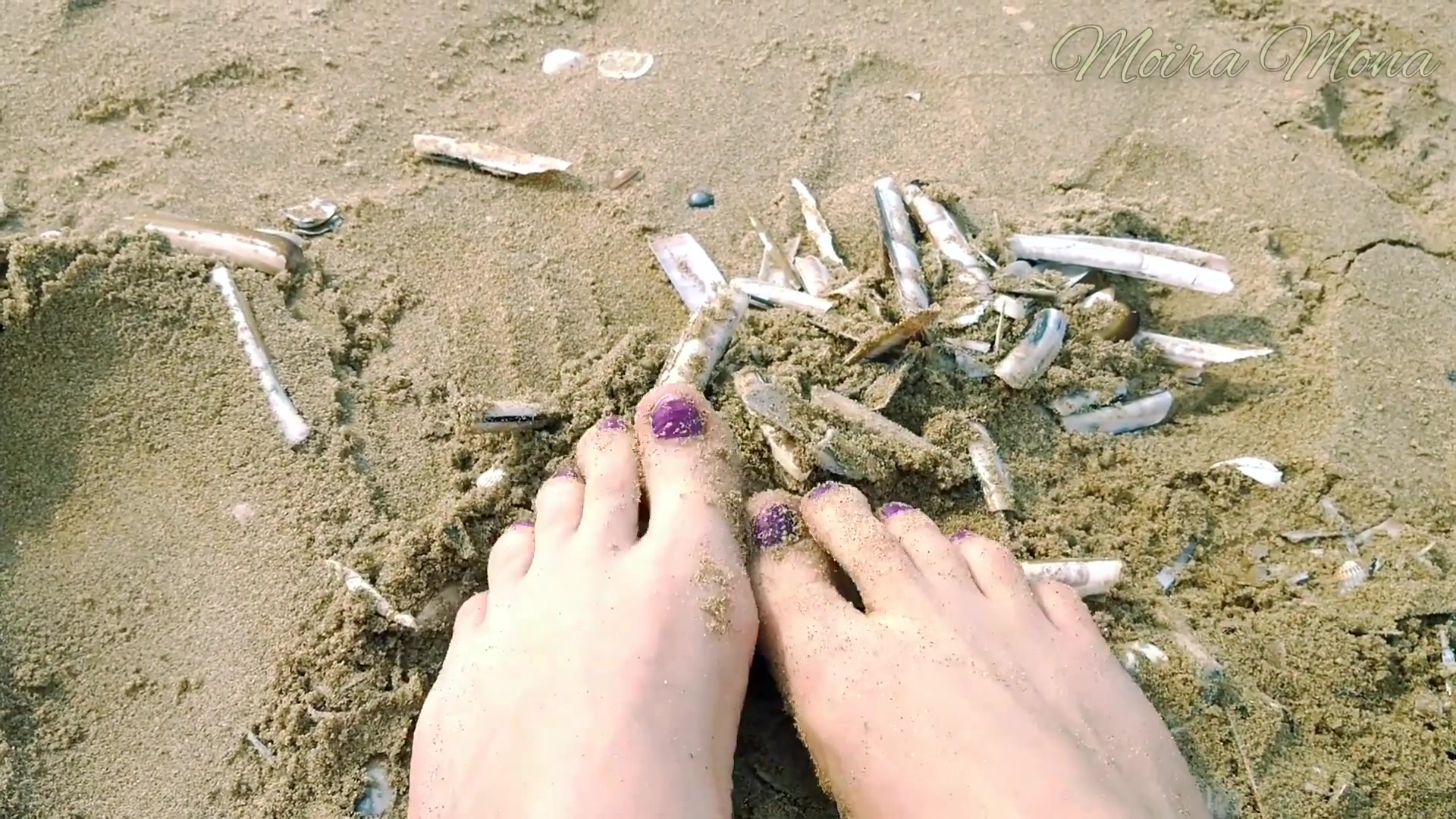 Sand And Shells Under My Feet
