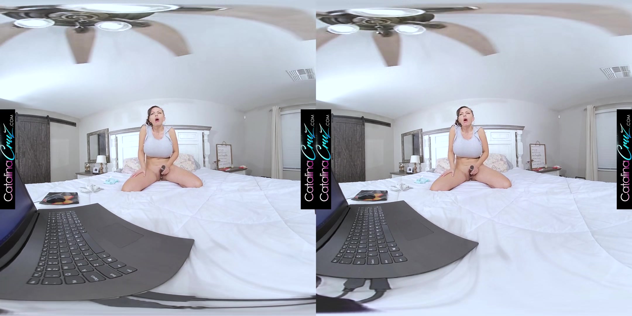 Catalina Cruz - Big Boob Distraction - Vr