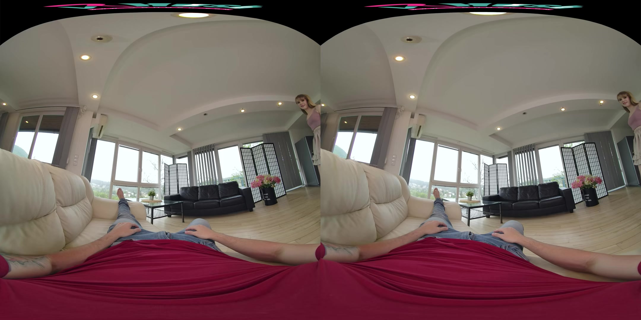 Couch Potato Mashing - VRHush