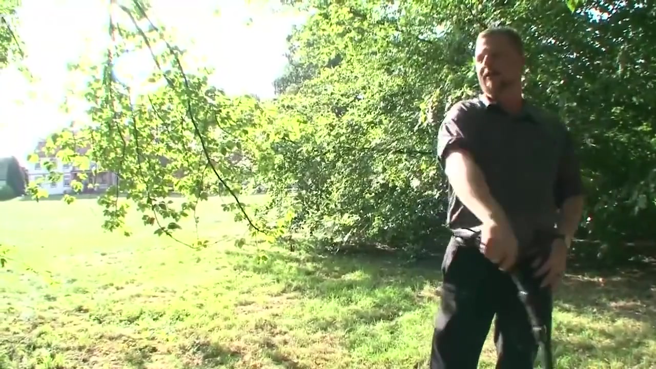 Tree Tied