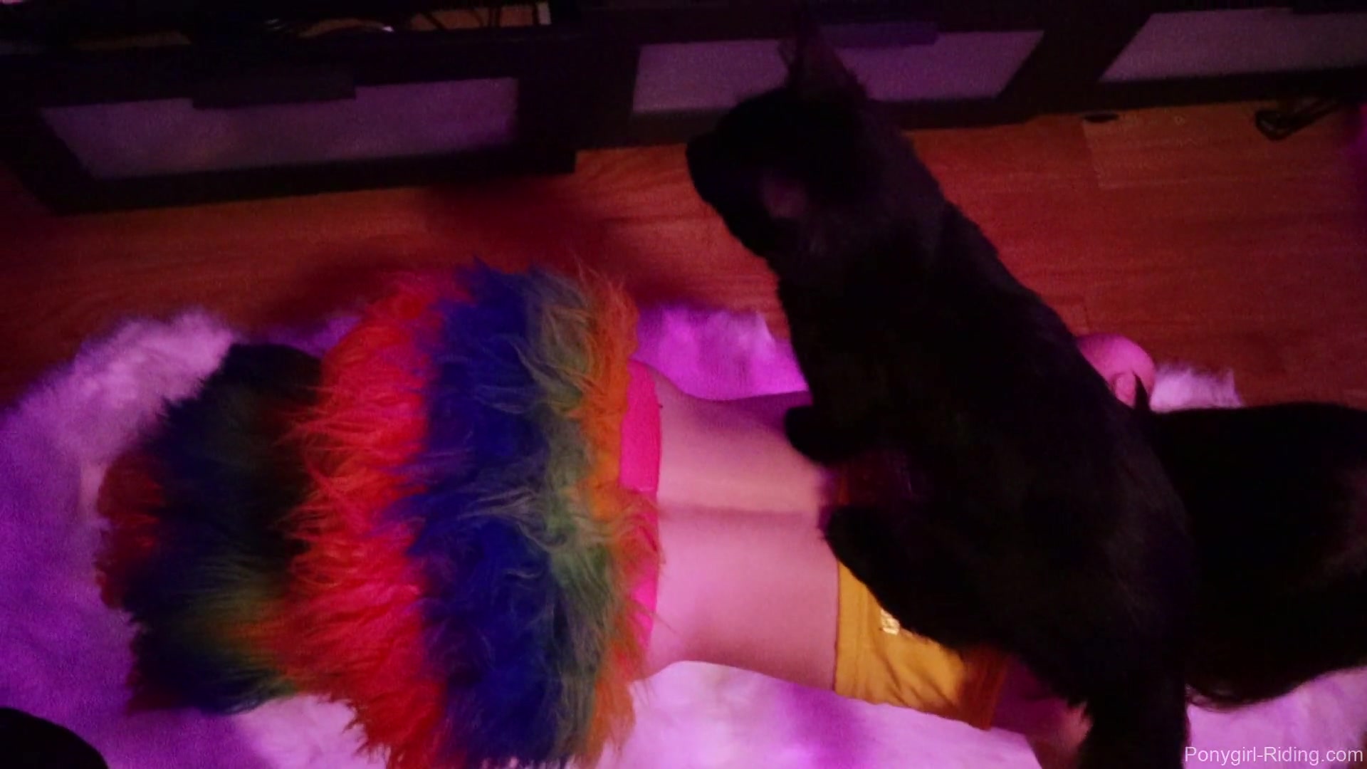 My Little Ponygirl 2 - Sex Movies Featuring Edward Black