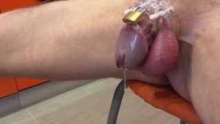 Forbidden pleasure