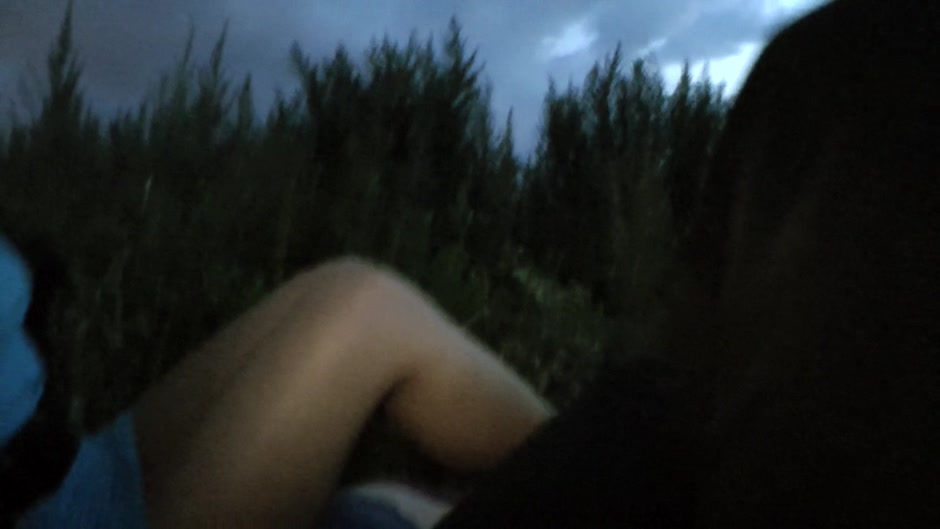 Lusty bitch gets ravished in a public park