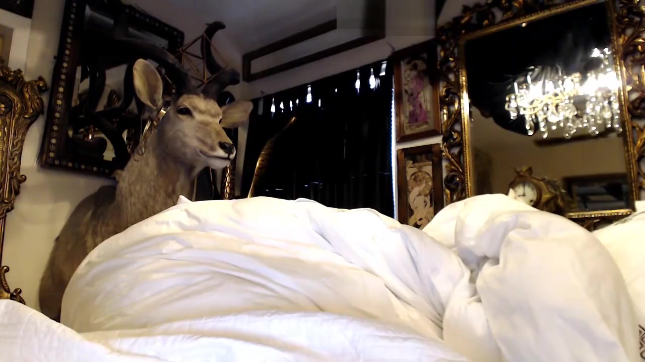 Dannidanielss cam ShowChaturbate 180520172