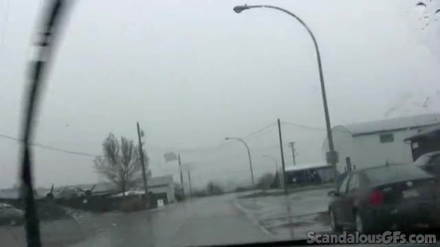 Sexy GF Shows Off Her Pussy In The Car