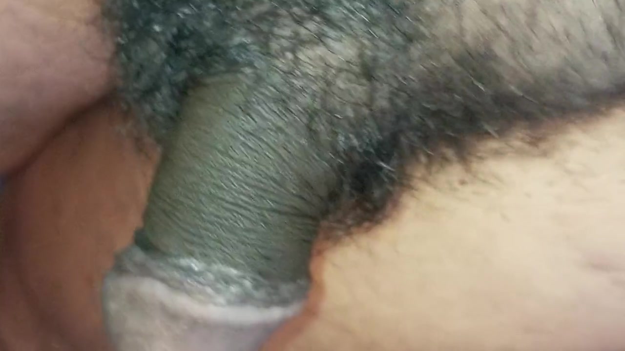 Do You Like To Suck My Cock?